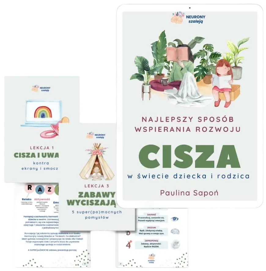Okładka i materiały programu Cisza