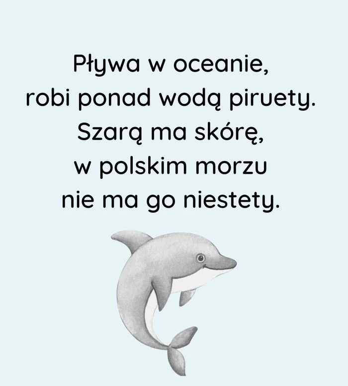 Zagadka — delfin